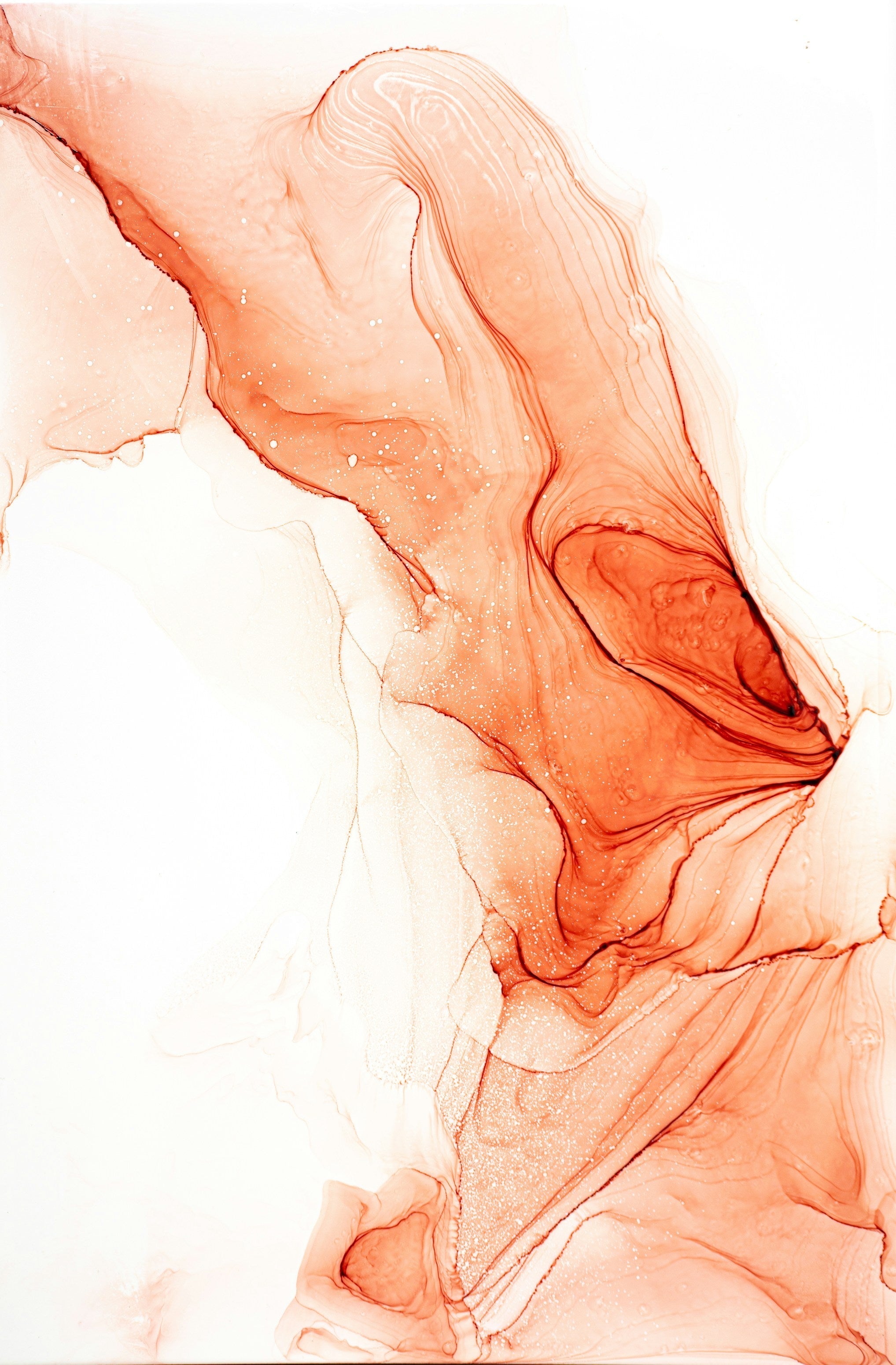 Vulva vs. Vagina